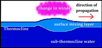 Schematic of Kelvin wave in the ocean