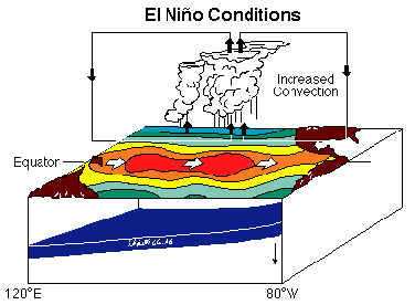 3d schematic shows increased tropical convection in an El Nino