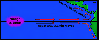 Schematic of Kelvin wave propagation