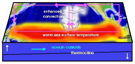 El Nino 3-D schematic
