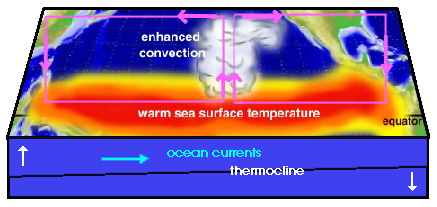 schematic of the tropical Pacific