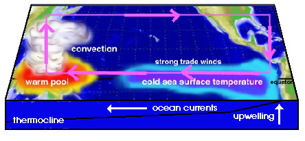 La Nina 3D schematic