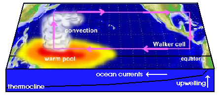 Normal schematic