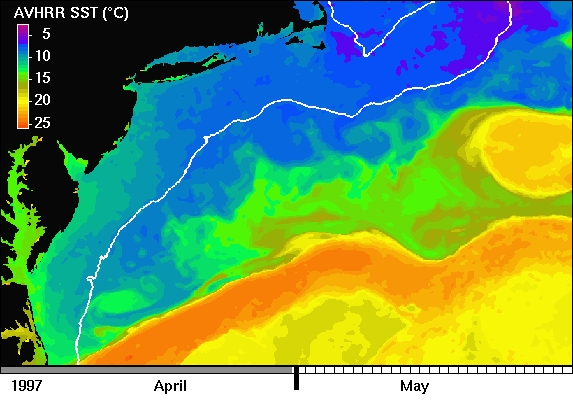 Image of Gulf Stream Surface Temperatures