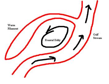 schematic of Gulf Stream frontal eddy