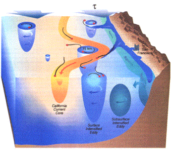 schematic of ocean features in California Current