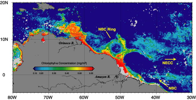 N Brazil Current Satellite Imate