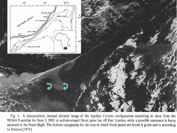 satellite image of Agulhas retroflection region